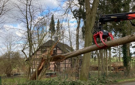 Sturmholzbeseitigung