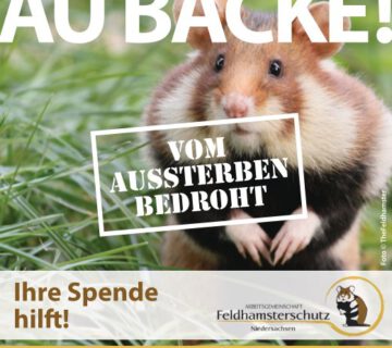 Werbung für den Feldhamsterschutz